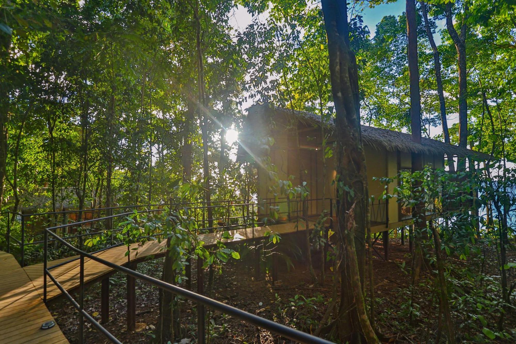 Corcovado Wilderness Lodge By Scp San Pedrillo 外观 照片