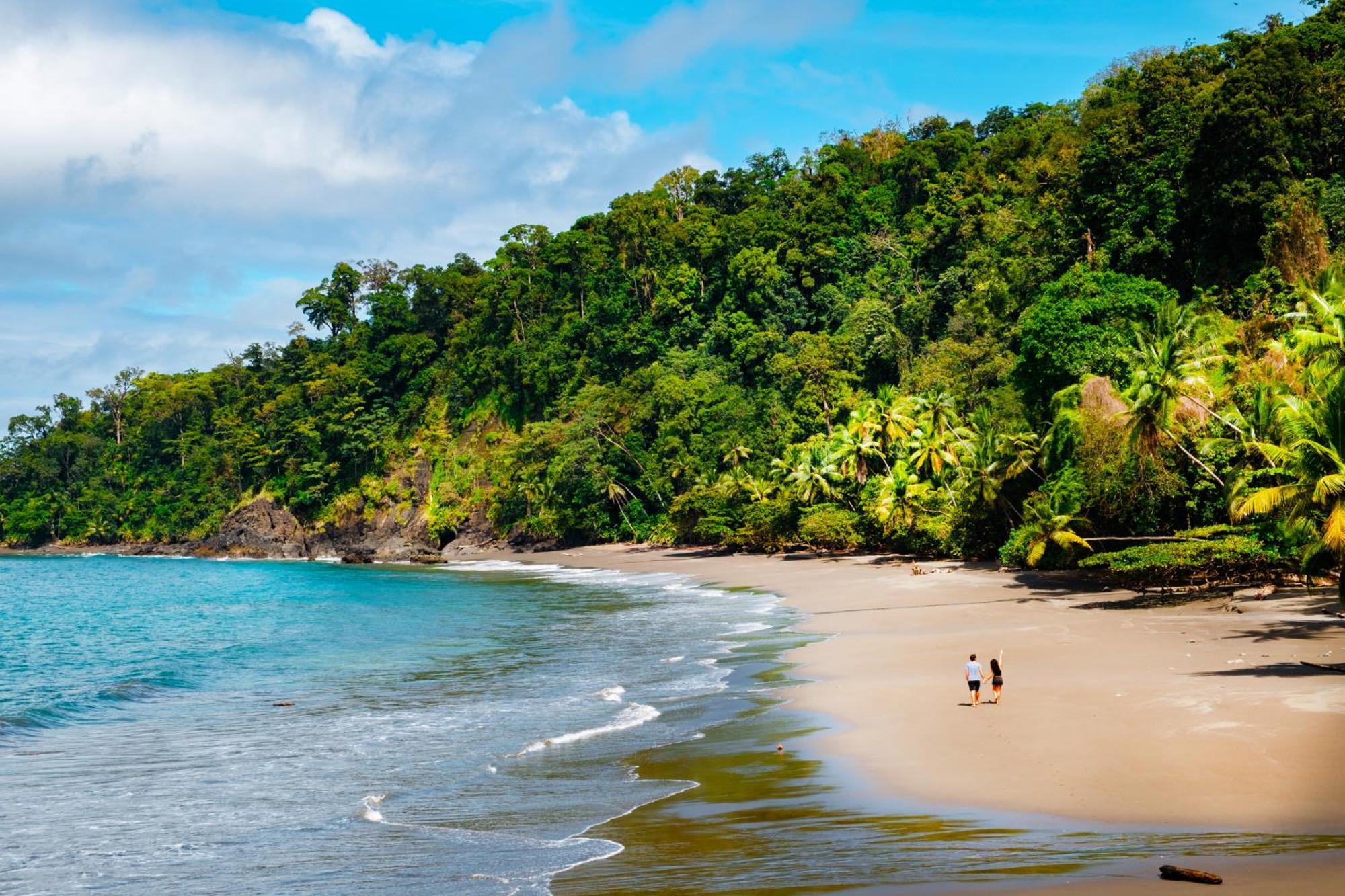 Corcovado Wilderness Lodge By Scp San Pedrillo 外观 照片