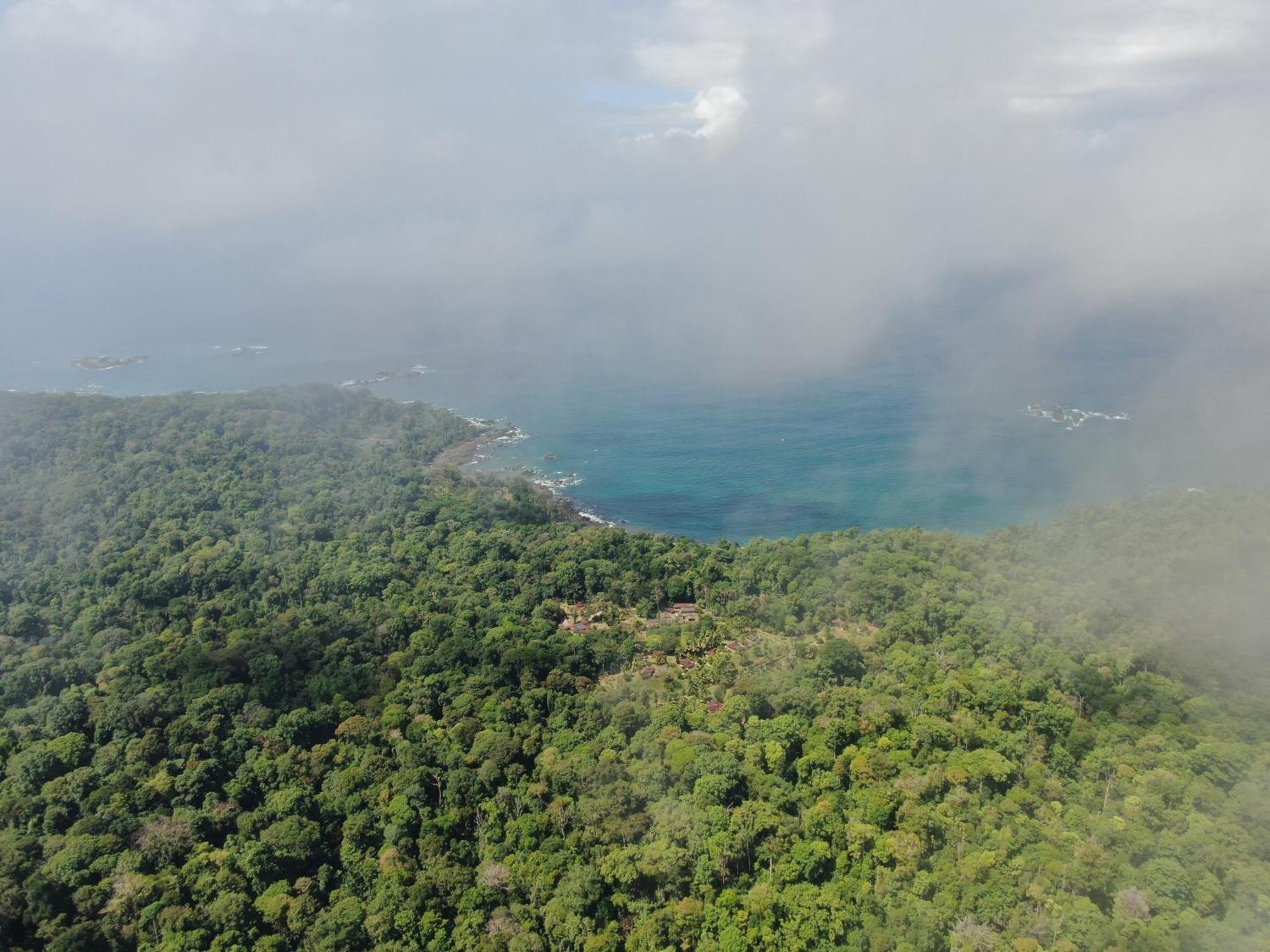 Corcovado Wilderness Lodge By Scp San Pedrillo 外观 照片