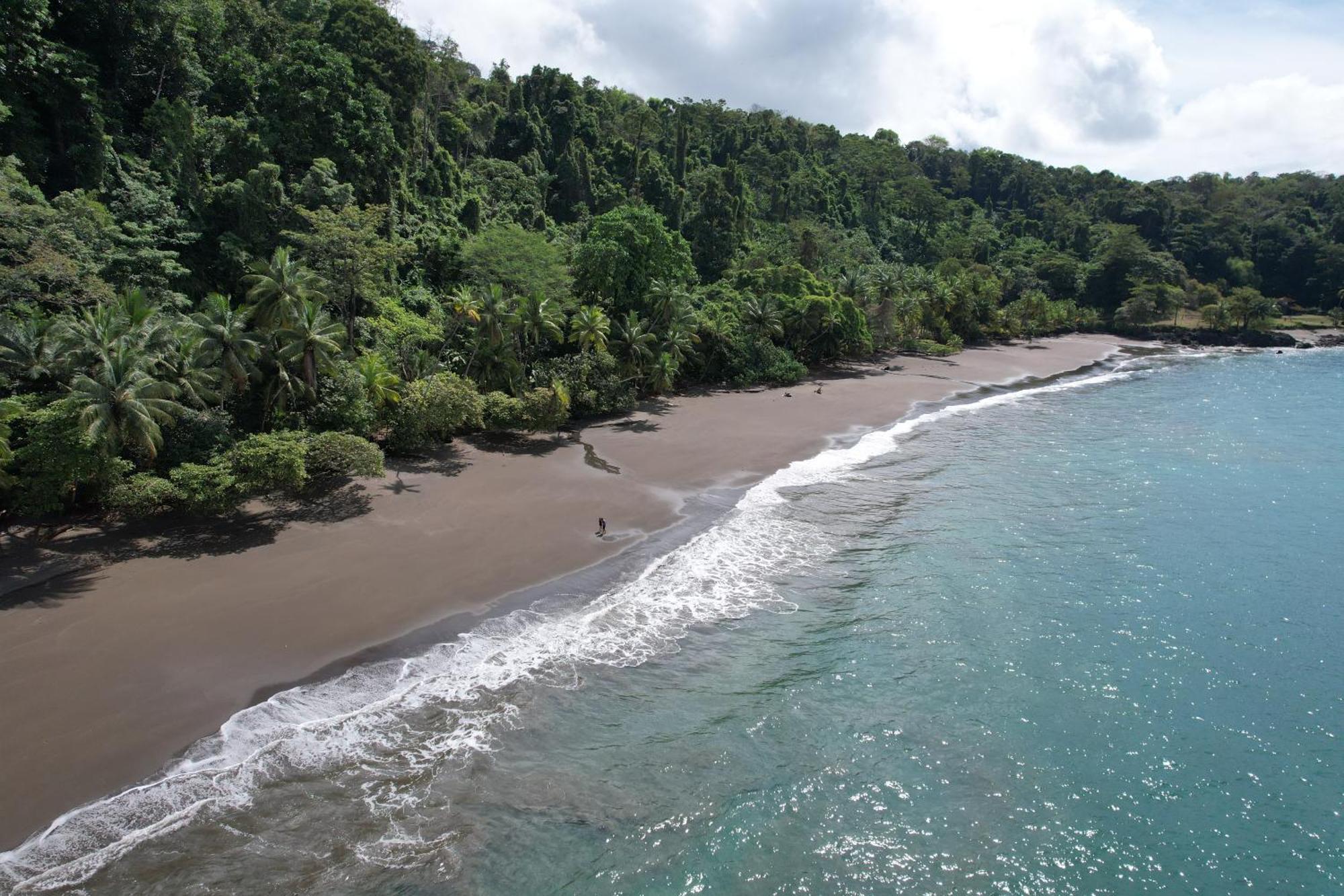 Corcovado Wilderness Lodge By Scp San Pedrillo 外观 照片