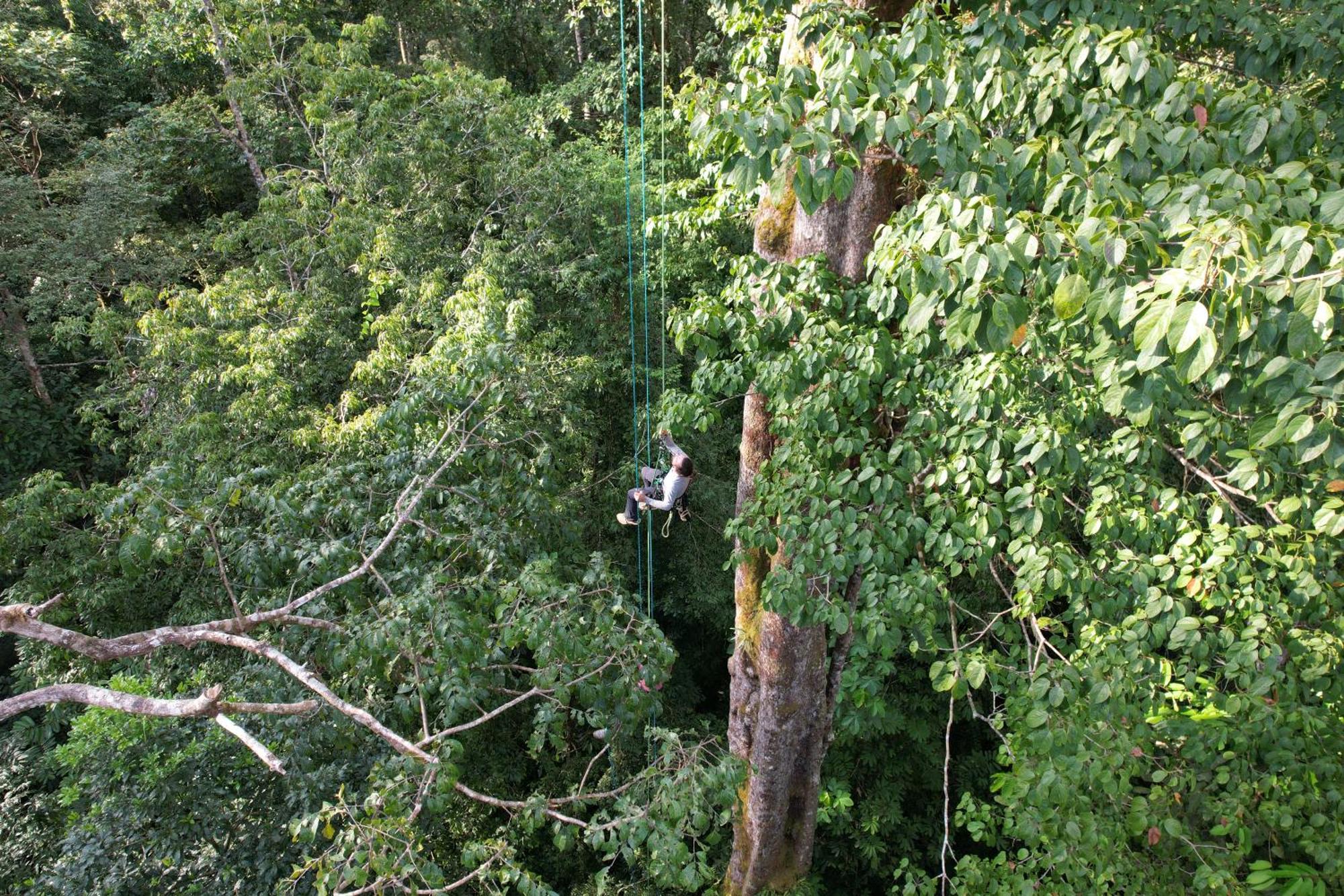 Corcovado Wilderness Lodge By Scp San Pedrillo 外观 照片