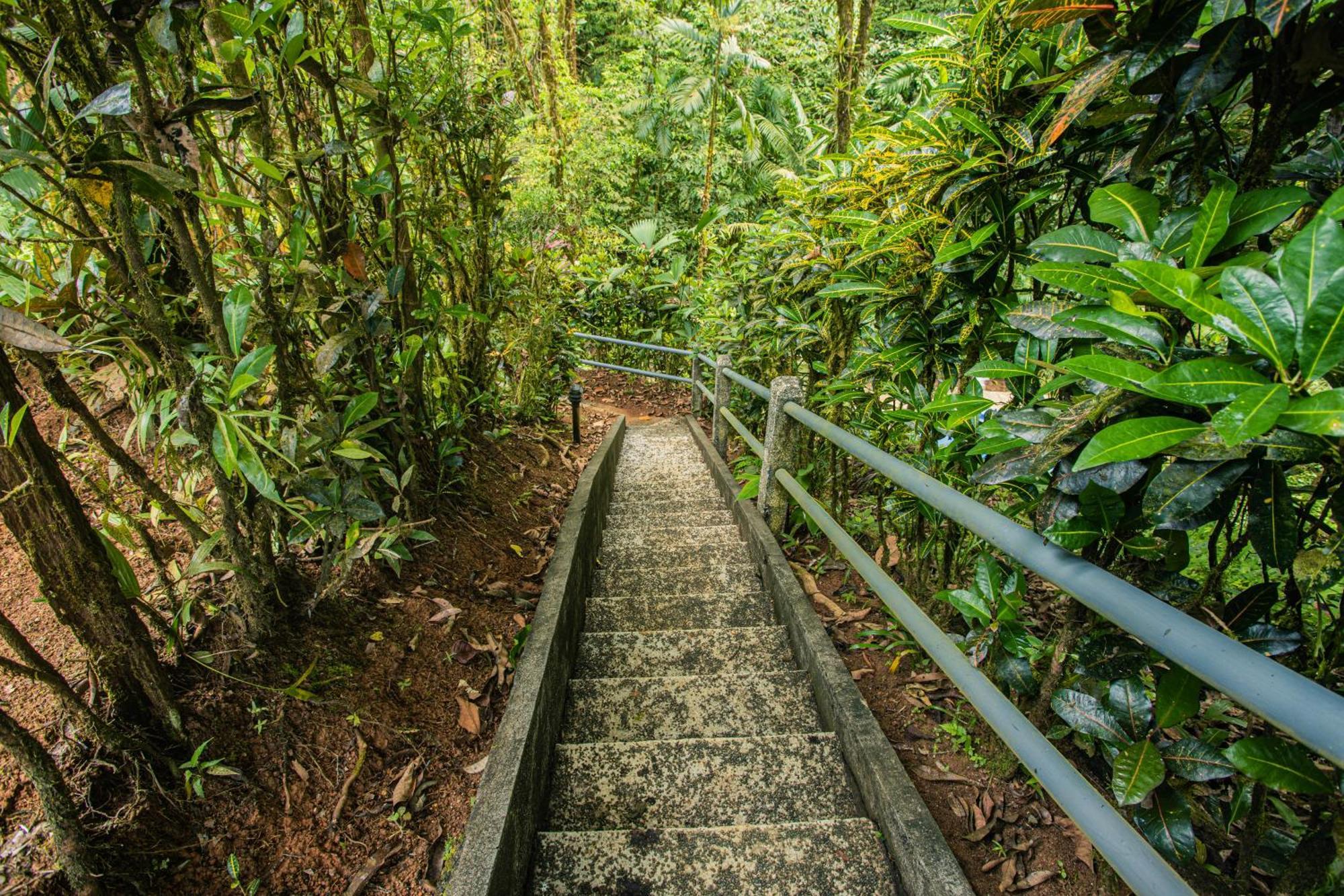 Corcovado Wilderness Lodge By Scp San Pedrillo 外观 照片